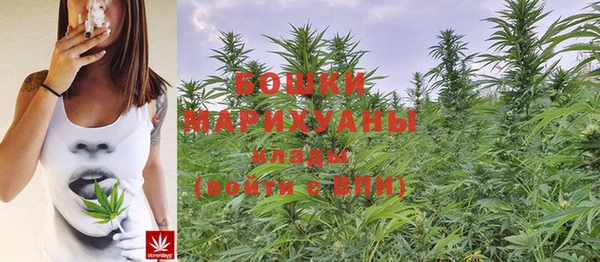 мяу мяу мука Белокуриха