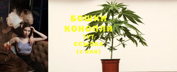 гидропоника Белоозёрский
