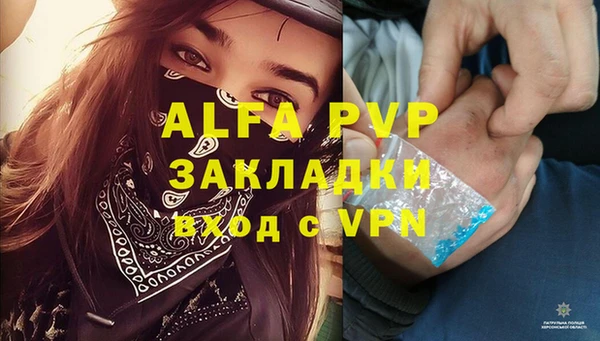 мяу мяу мука Белокуриха