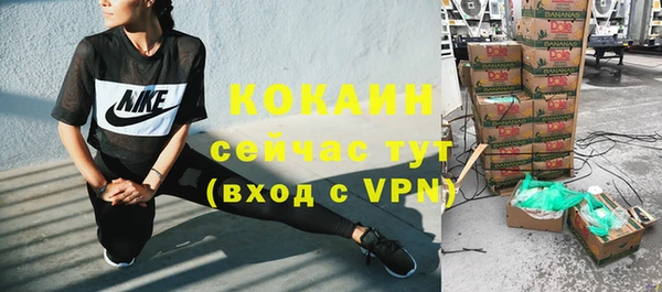мяу мяу мука Белокуриха