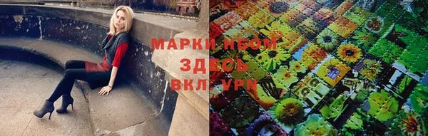 мяу мяу мука Белокуриха
