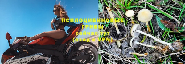 мяу мяу мука Белокуриха