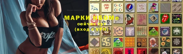 мяу мяу мука Белокуриха